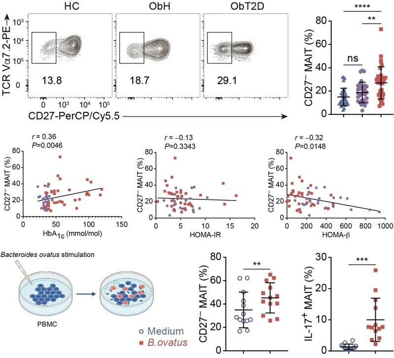 610820E34FE805CABAA8DDDFBCB_E8BAA268_15E95