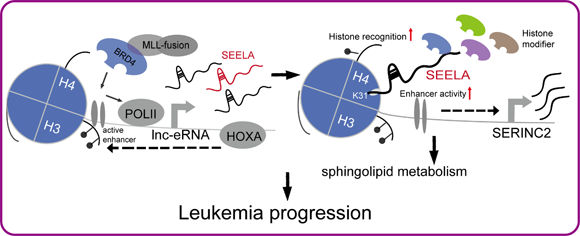 ��ҳ|ng������Ϸ�й����Źٷ���վ