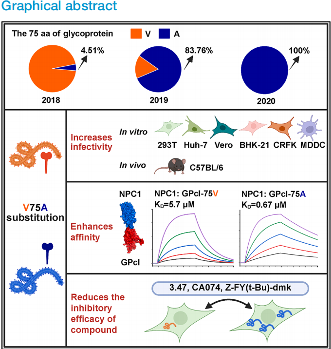 154C58448CAC4406690336B9DAA_EE032FFC_2F748
