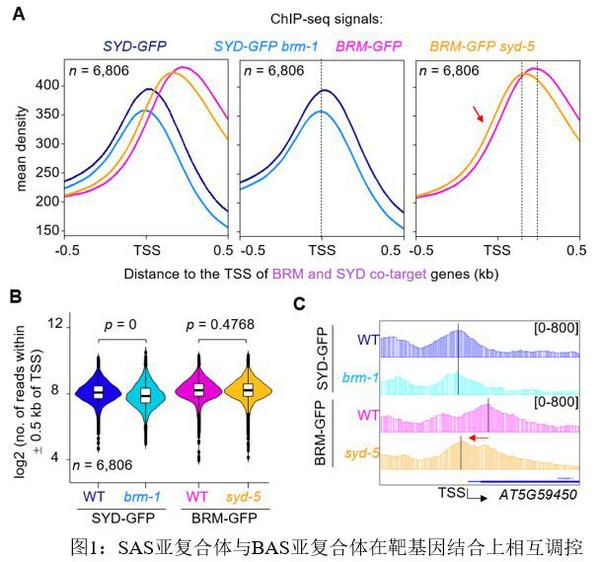 ED3E5EF197B4CAA4320FBD520A2_88968B90_ED33 ED3E5EF197B4CAA4320FBD520A2_88968B90_ED33