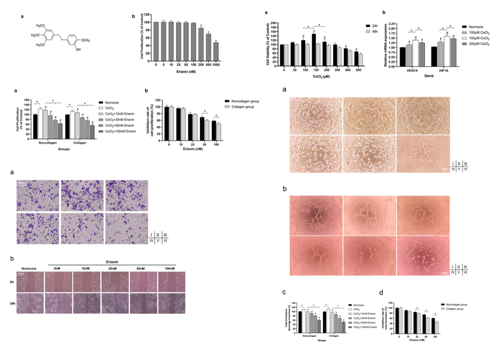 ��ҳ|ng������Ϸ�й����Źٷ���վ