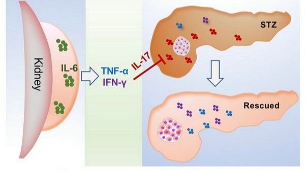 ��ҳ|ng������Ϸ�й����Źٷ���վ