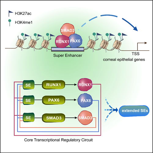 ��ҳ|ng������Ϸ�й����Źٷ���վ