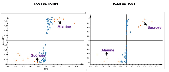 DF8C6F0D9E0CFB983385AEB45B7_DA964027_8F89