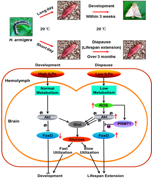 ��ҳ|ng������Ϸ�й����Źٷ���վ