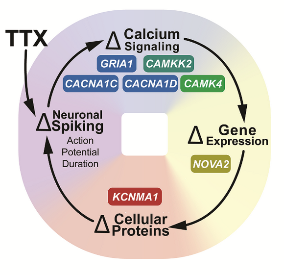 ��ҳ|ng������Ϸ�й����Źٷ���վ