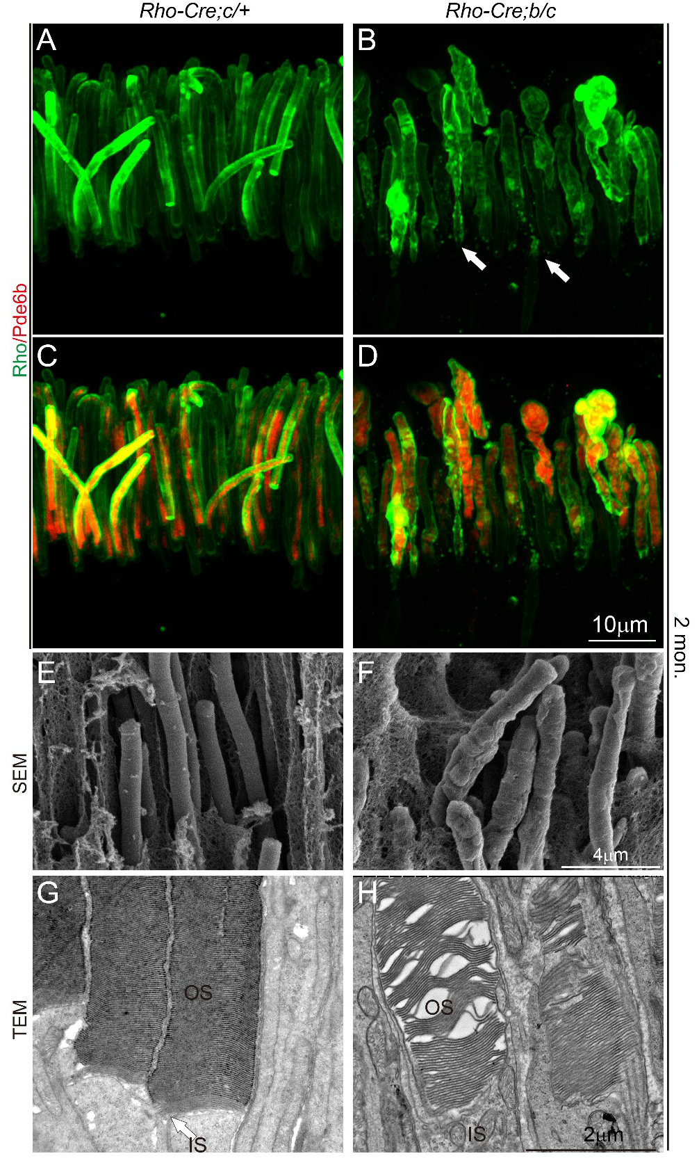��ҳ|ng������Ϸ�й����Źٷ���վ