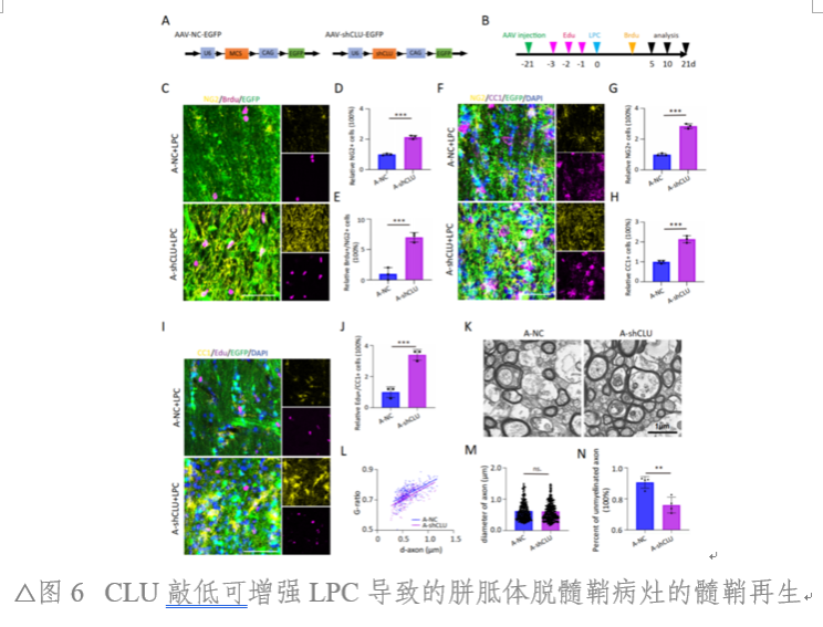 A72C09C433786838AEC38AF8560_891AC823_4FEBF