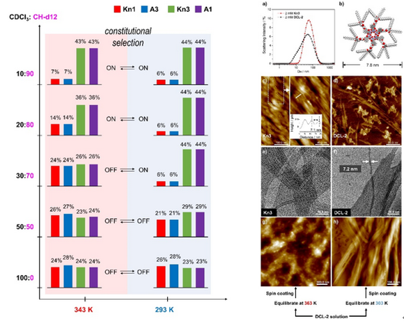 ��ҳ|ng������Ϸ�й����Źٷ���վ