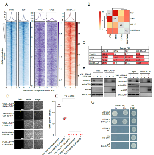 ��ҳ|ng������Ϸ�й����Źٷ���վ