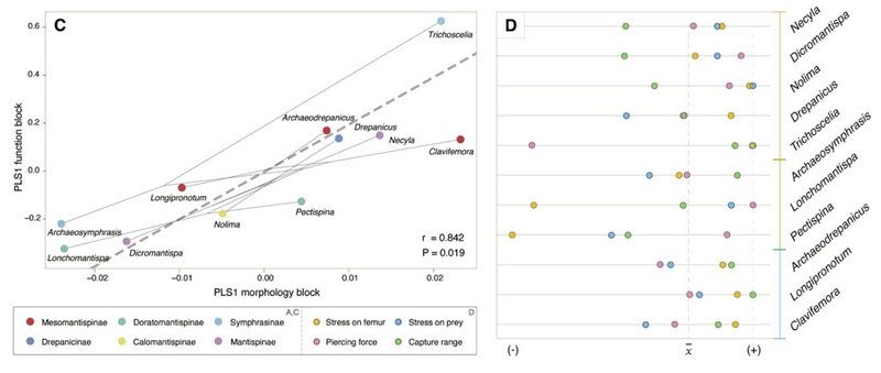 17FB36081A64ABCC732006A8066_528BEE08_8BFF