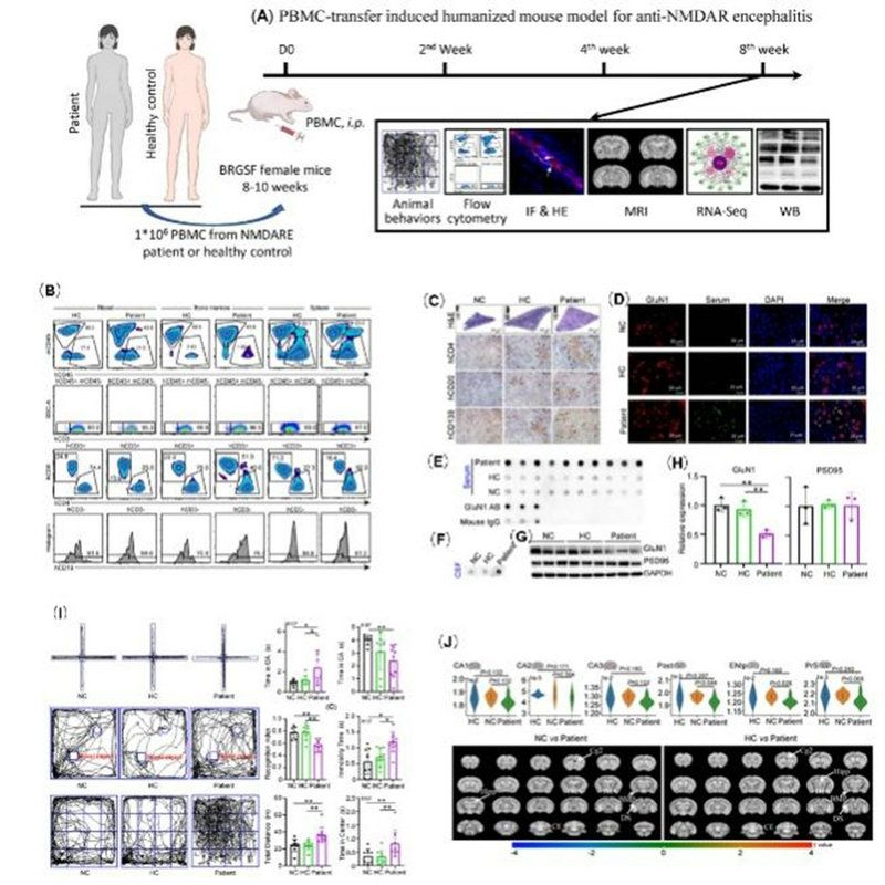 8A42AB8DBD2ECCFAA47916944A5_189DE865_1BB6E