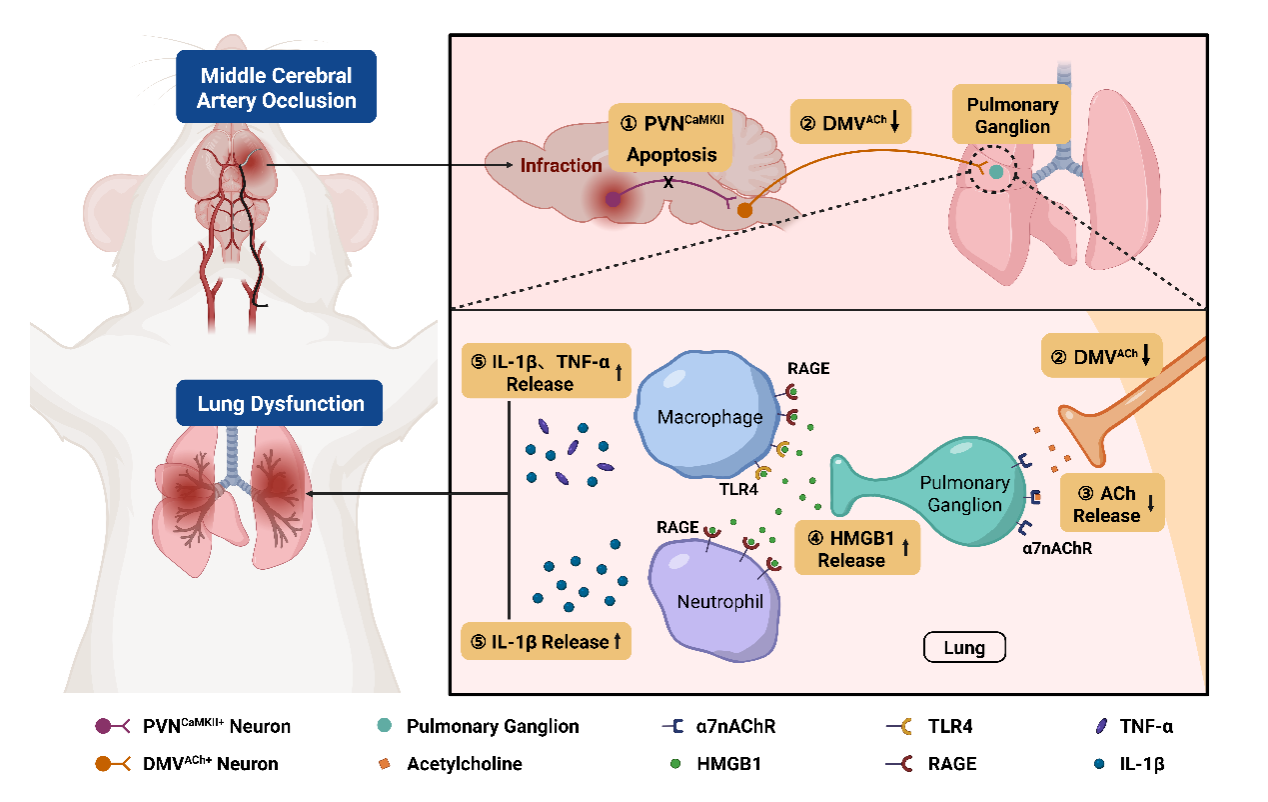 ��ҳ|ng������Ϸ�й����Źٷ���վ