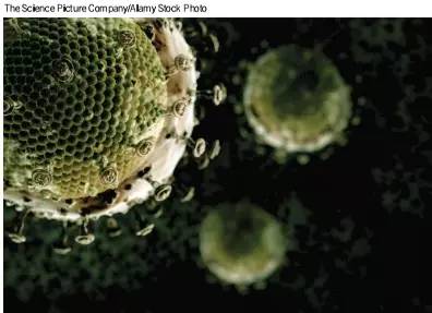 ��ҳ|ng������Ϸ�й����Źٷ���վ