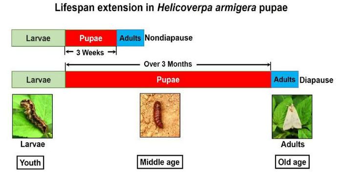 303FE3049D758AE176F1F53C2CE_03648152_818D
