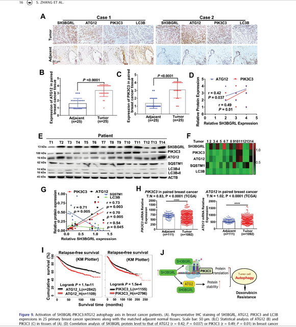 ��ҳ|ng������Ϸ�й����Źٷ���վ