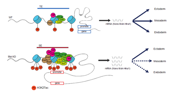 ��ҳ|ng������Ϸ�й����Źٷ���վ