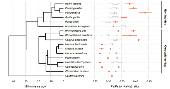 ��ҳ|ng������Ϸ�й����Źٷ���վ
