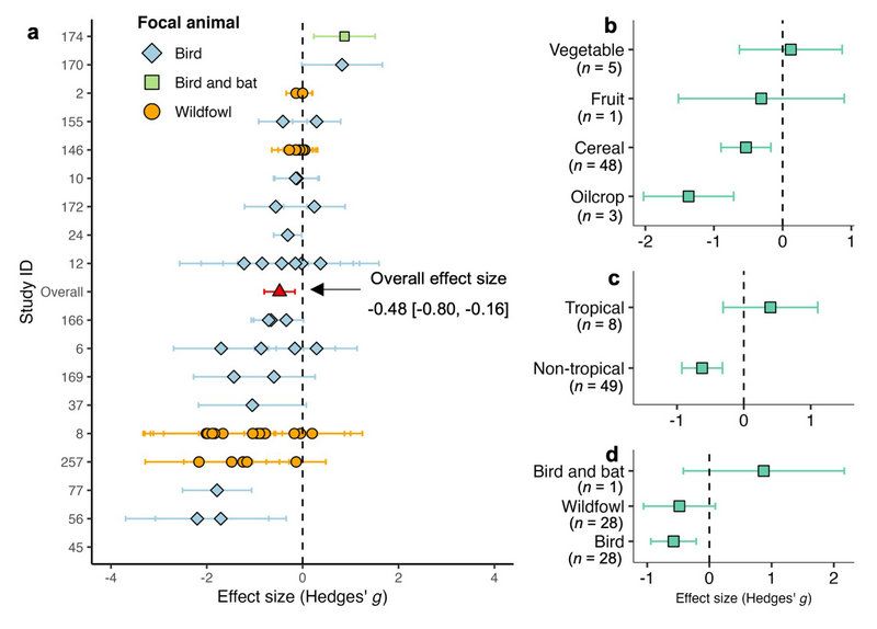 A28A218D570C8596E2C6D16B5F3_19C78F53_CF53