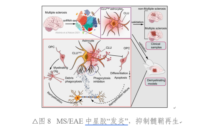 6BD5F926D4B4F6D093618A9E00F_BDB92FEC_2D0EF