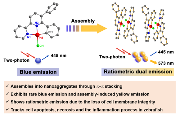 C3921210F307BC306D9C51ECCF0_B4290B10_20668.png?e= Ê×Ò³|ngµç×ÓÓÎÏ·Öйú¼¯ÍŹٷ½ÍøÕ¾