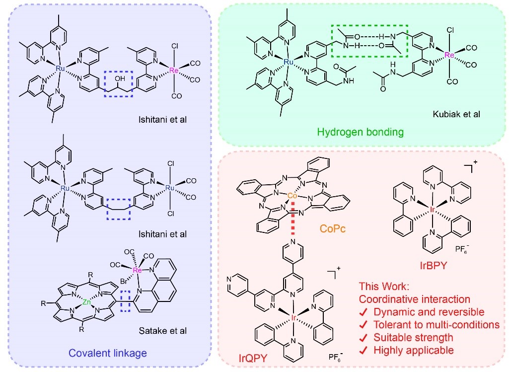 ��ҳ|ng������Ϸ�й����Źٷ���վ