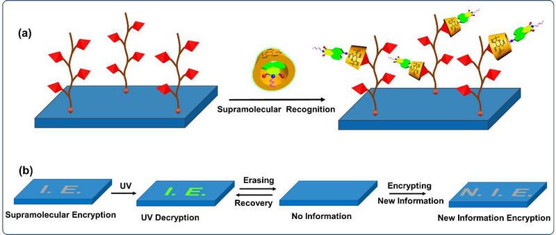 8A8CB75BE421A9A64EC40BE494D_17534D15_AA1E 8A8CB75BE421A9A64EC40BE494D_17534D15_AA1E