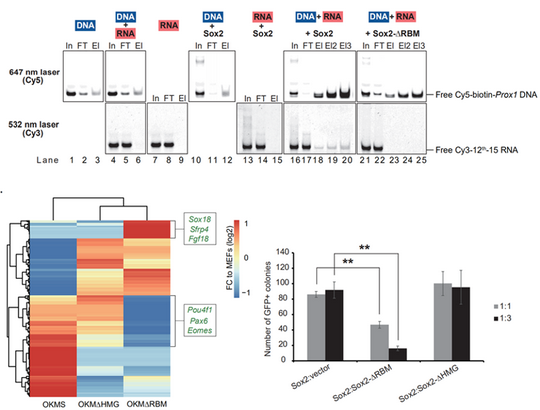 ��ҳ|ng������Ϸ�й����Źٷ���վ