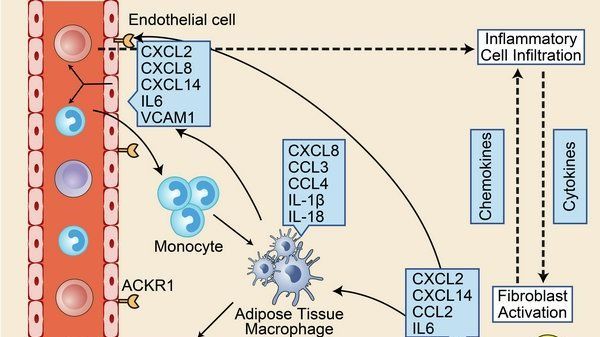 ��ҳ|ng������Ϸ�й����Źٷ���վ