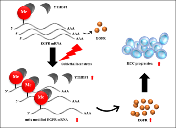 ��ҳ|ng������Ϸ�й����Źٷ���վ