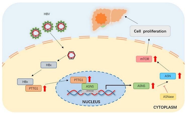 DACE5A780C72BD6D7D9A562FD3A_493ABD9B_90D5 DACE5A780C72BD6D7D9A562FD3A_493ABD9B_90D5