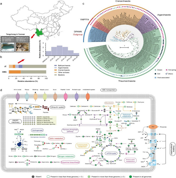 ��ҳ|ng������Ϸ�й����Źٷ���վ