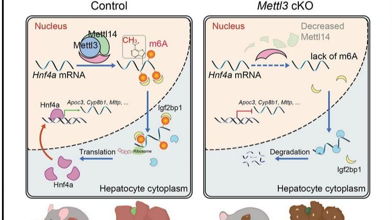 ��ҳ|ng������Ϸ�й����Źٷ���վ