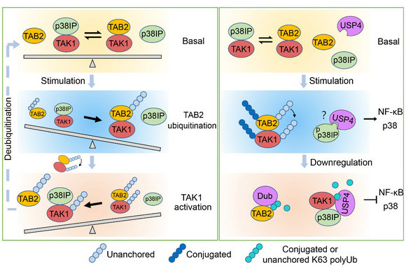 ��ҳ|ng������Ϸ�й����Źٷ���վ
