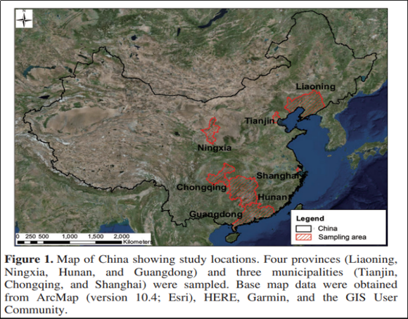 ��ҳ|ng������Ϸ�й����Źٷ���վ