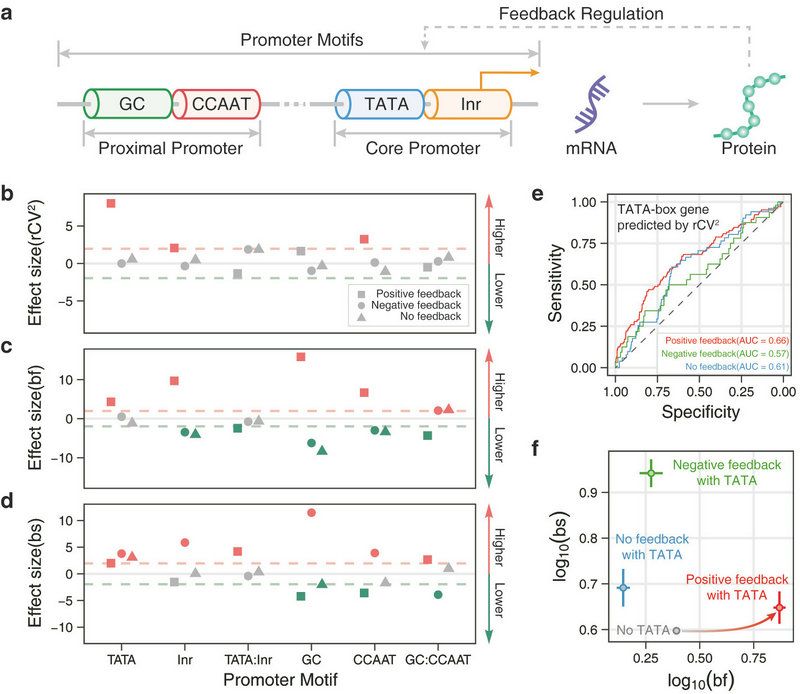 047C41045C3014EE54661392C1C_054866E3_14737 047C41045C3014EE54661392C1C_054866E3_14737