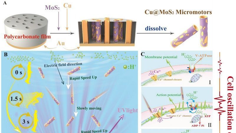 ��ҳ|ng������Ϸ�й����Źٷ���վ