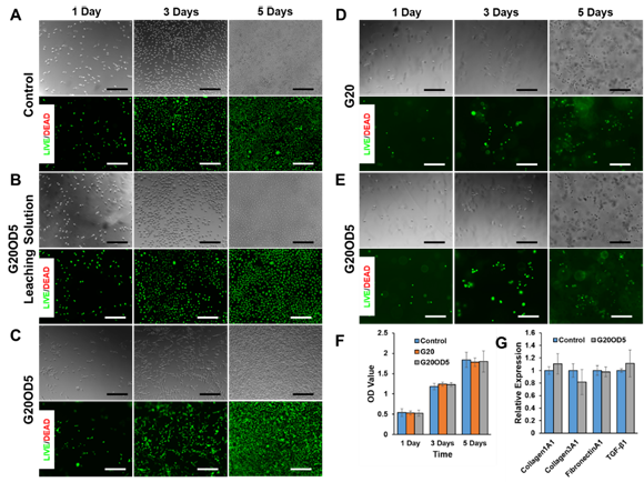 ��ҳ|ng������Ϸ�й����Źٷ���վ