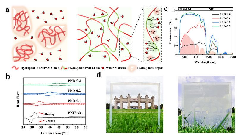 6E77A7C79313DA1F9E6F9FB3765_FF9E8F3E_11EFE 6E77A7C79313DA1F9E6F9FB3765_FF9E8F3E_11EFE