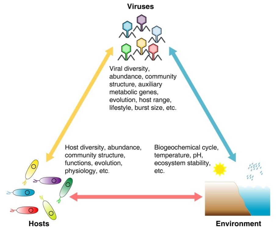 ��ҳ|ng������Ϸ�й����Źٷ���վ