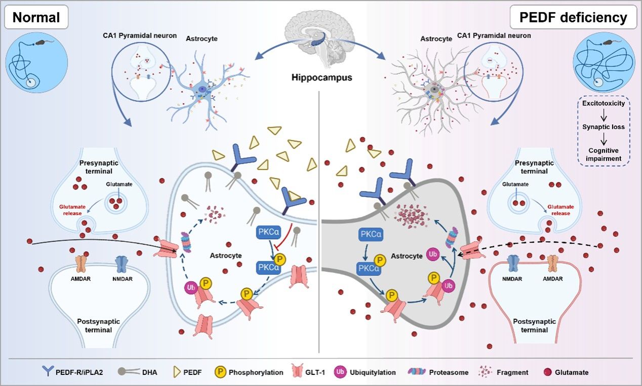 ��ҳ|ng������Ϸ�й����Źٷ���վ