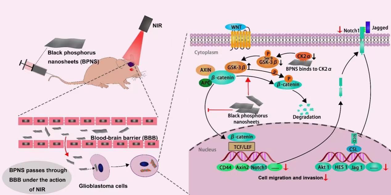 825435526F5D882B143537FAF4A_29E0FCDE_17DA1