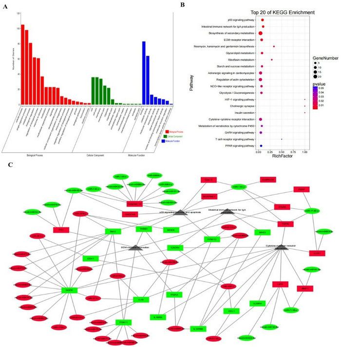 376FCE56120F5C31F9082D086C3_5CE82255_148FE