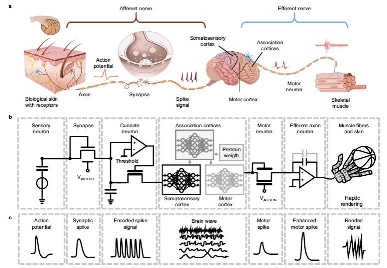 122F27196DBA378C9B550852813_6D343F6F_121D6