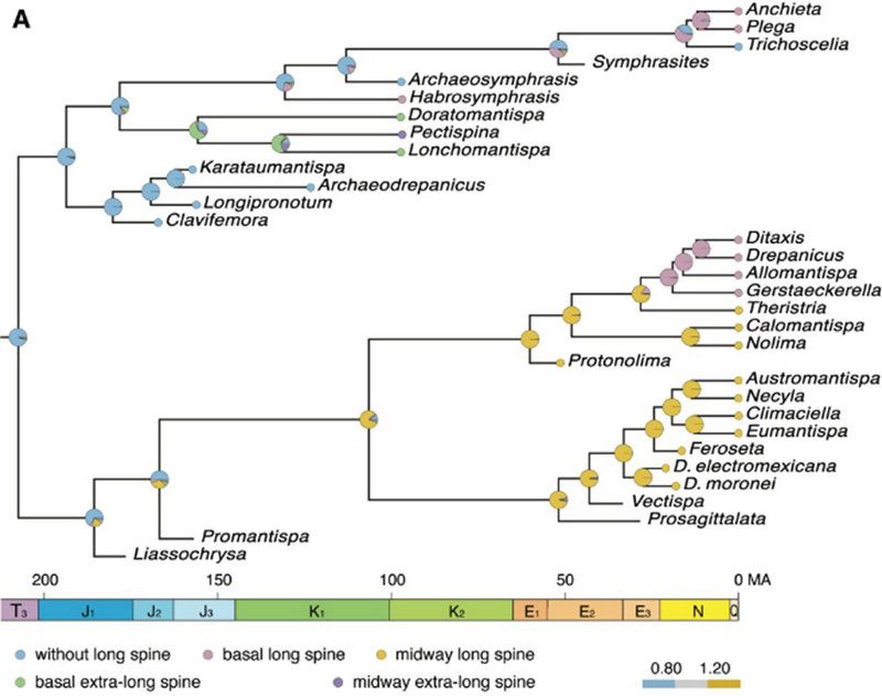 EB7849865482408EB79926E8E90_073E39A5_F9B1