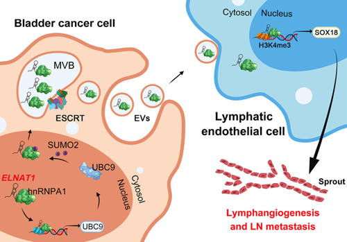 ��ҳ|ng������Ϸ�й����Źٷ���վ