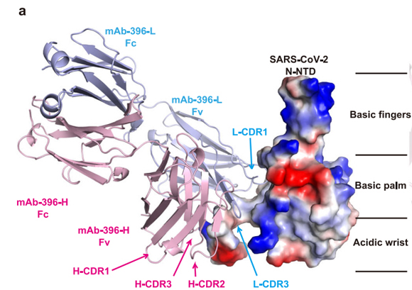 ��ҳ|ng������Ϸ�й����Źٷ���վ