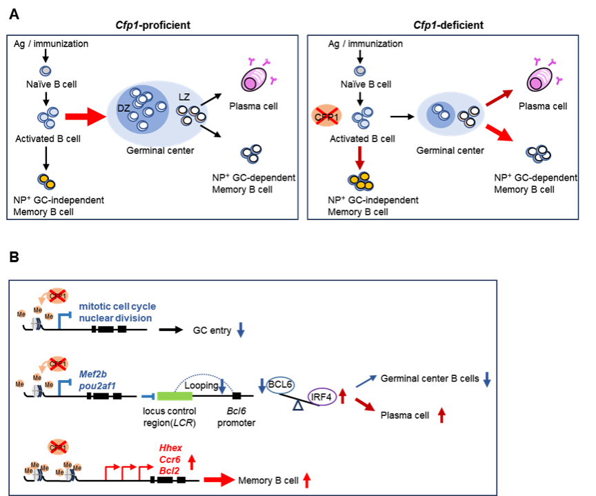 ��ҳ|ng������Ϸ�й����Źٷ���վ