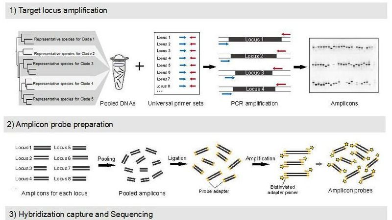 ��ҳ|ng������Ϸ�й����Źٷ���վ