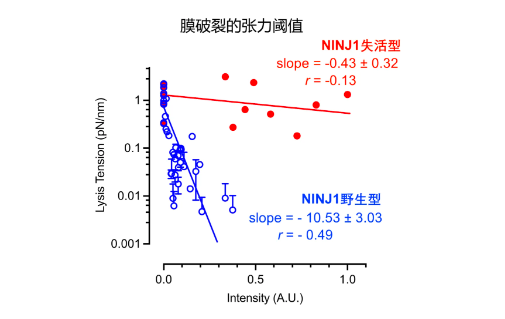 15181AA67B0BA64767D1429EB9B_8FD0B646_AA67